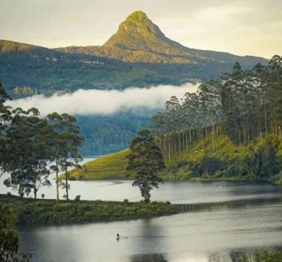 Central Highlands