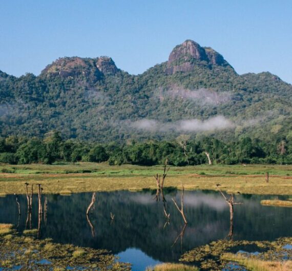 Gal Oya National Park – Boat Safari Wonderland