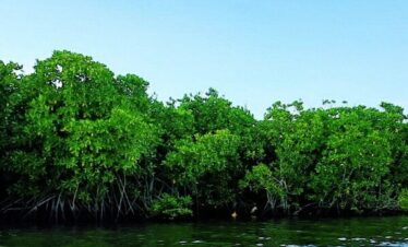 10-Day Bird Watching & Wildlife Safari Tour in Sri Lanka with SRF Travel