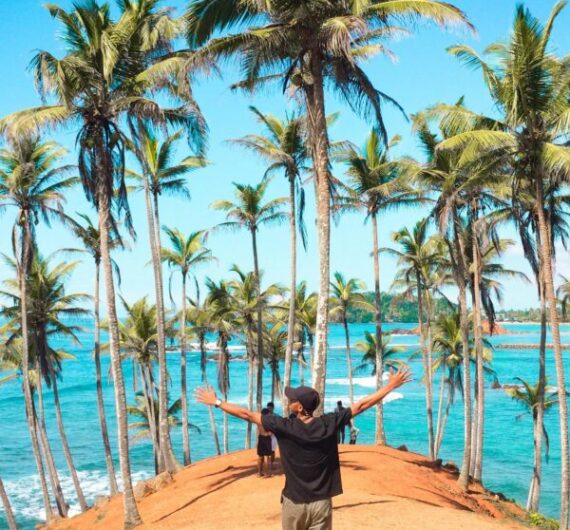 Mirissa Beach – Surf & Whale Watching