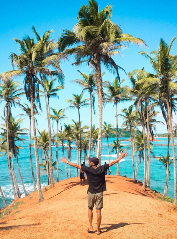 Mirissa Beach – Surf & Whale Watching